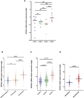 High expression of BTN3A1 is associated with clinical and immunological characteristics and predicts a poor prognosis in advanced human gliomas